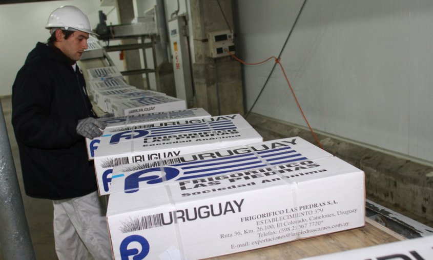 Exportaci&oacute;n de carne vacuna cierra primer semestre al alza