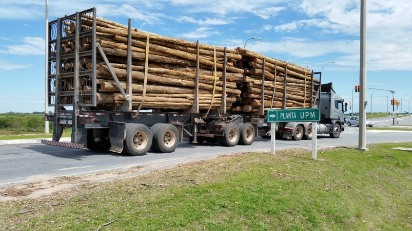 Puerto elev&oacute; 21% su actividad en primer trimestre gracias al empuje de la madera