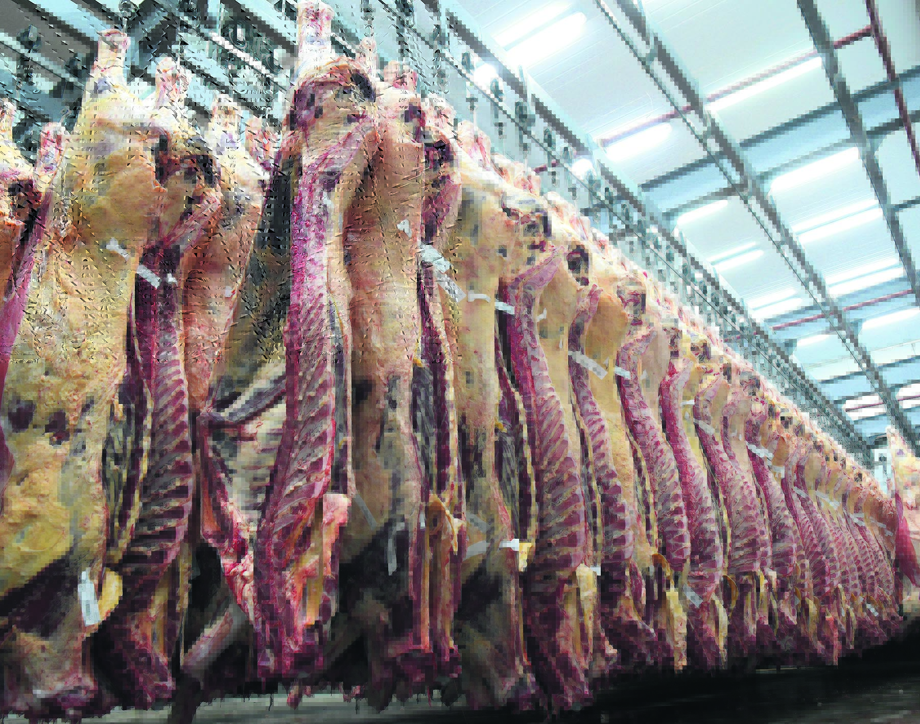 China retoma las compras de carne a Uruguay