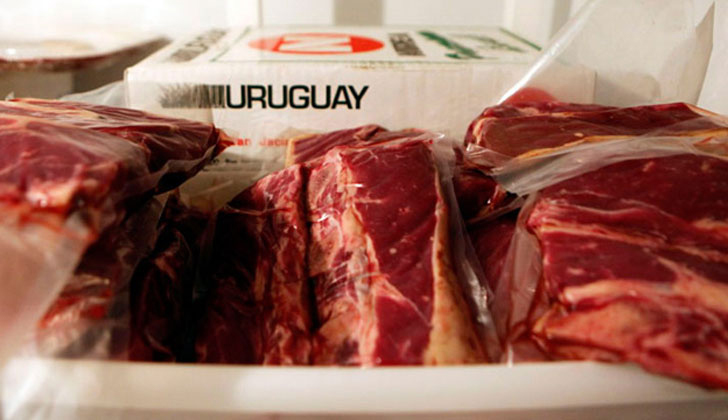 Ventas de carnes uruguayas totalizaron 827 millones de d&oacute;lares entre enero y junio, un 13% m&aacute;s que en igual periodo de 2016