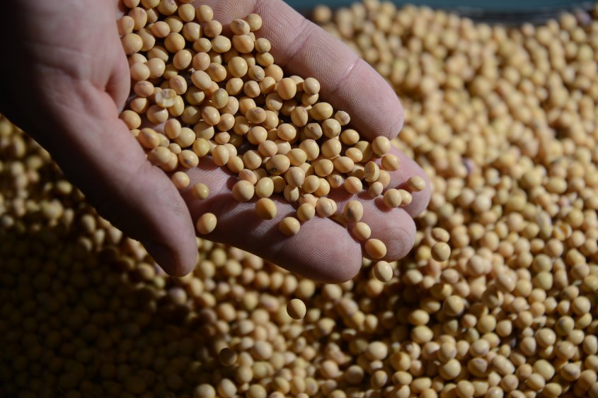 Volvieron a bajar precios de los commodities que el pa&iacute;s exporta