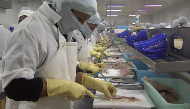 Plantas pesqueras uruguayas habilitadas para exportar productos a Uni&oacute;n Europea y otros mercados con los mismos requerimientos